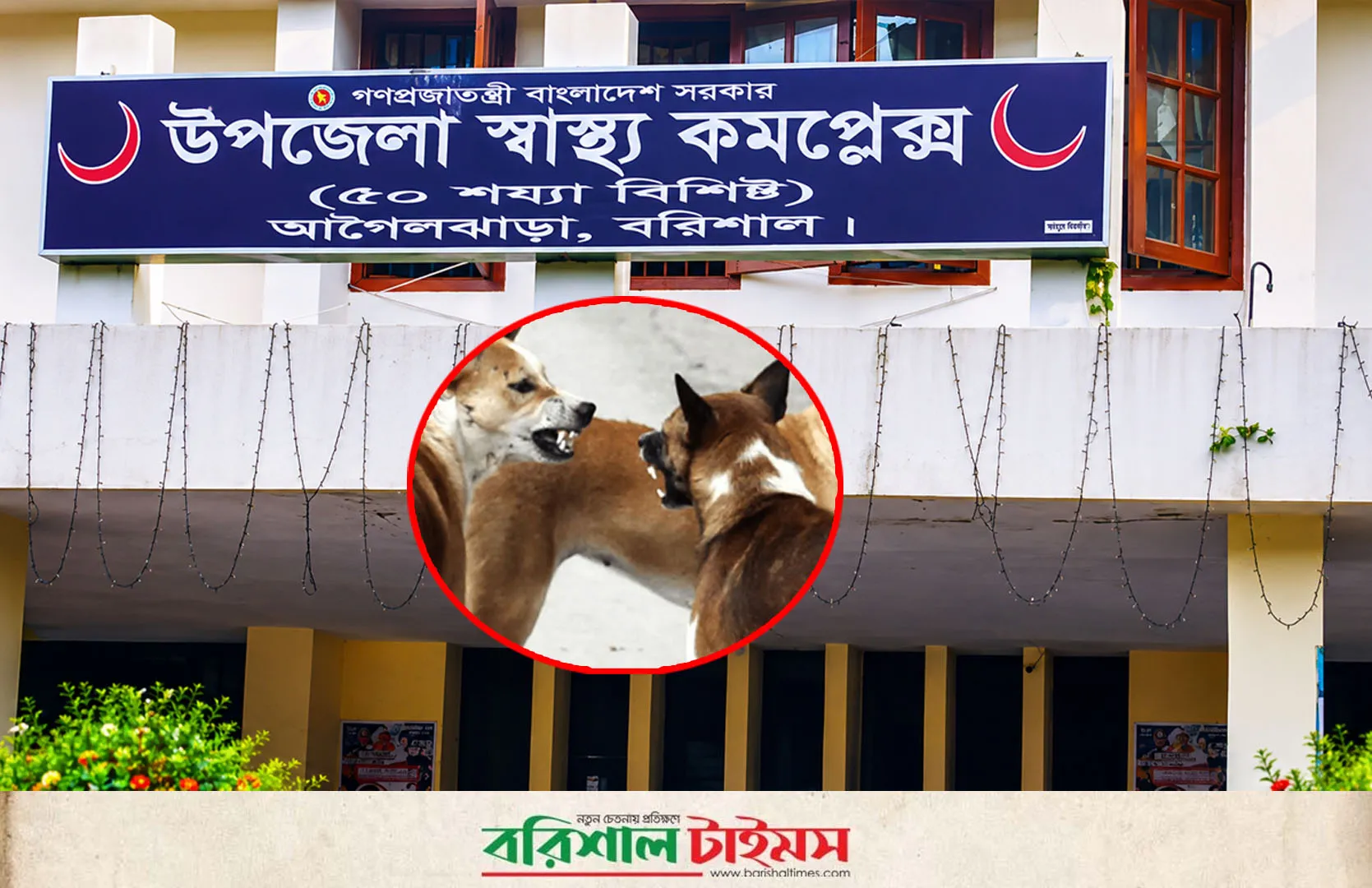 আগৈলঝাড়ায় পাগলা কুকুরের উপদ্রব, কামড়ে আহত ২৭